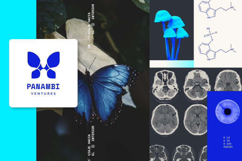 Portada Panambi Ventures